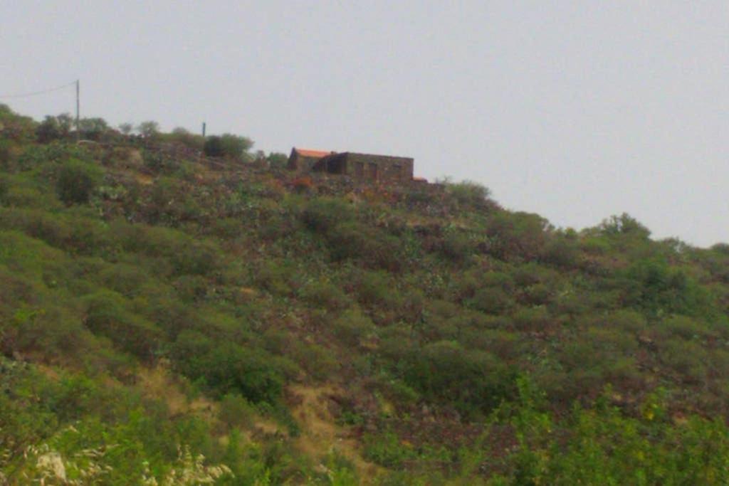 Casa Rural La Casa De La Lima Las Rosas  Luaran gambar